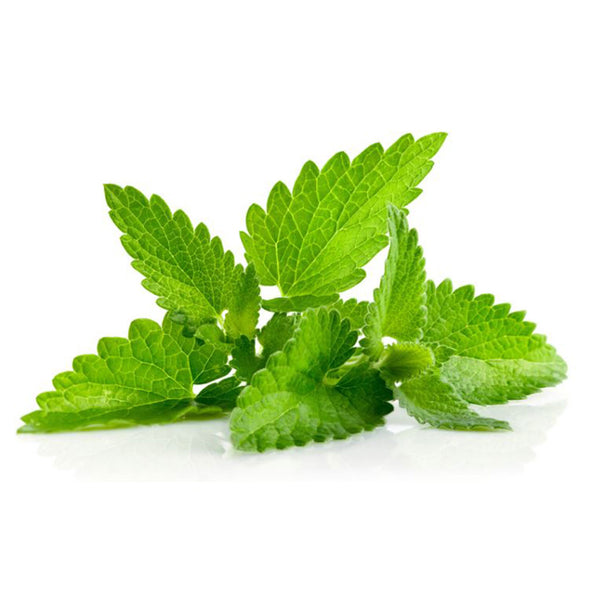 Екстракт от маточина (Melissa officinalis) — 75 мг