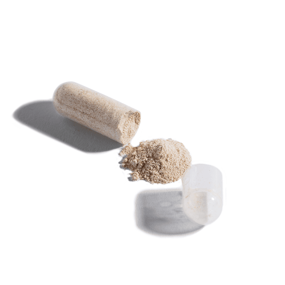 The Lion Ritual - 30-Day AM/PM Performance System